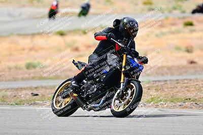 media/Apr-26-2025-2WTD (Sat) [[797c348bd3]]/C Group/240pm/